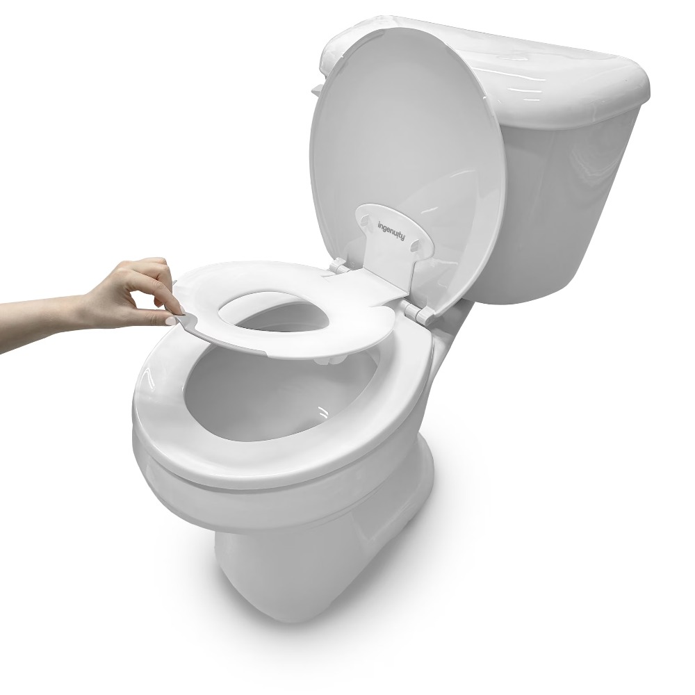 Flip and Sit Potty Training Se - Toddler Potty Training Seat review and price