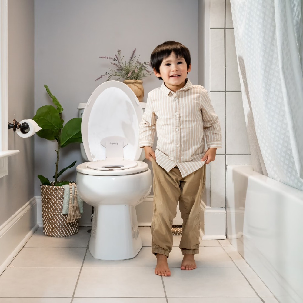 Flip and Sit Potty Training Se - Toddler Potty Training Seat review and price
