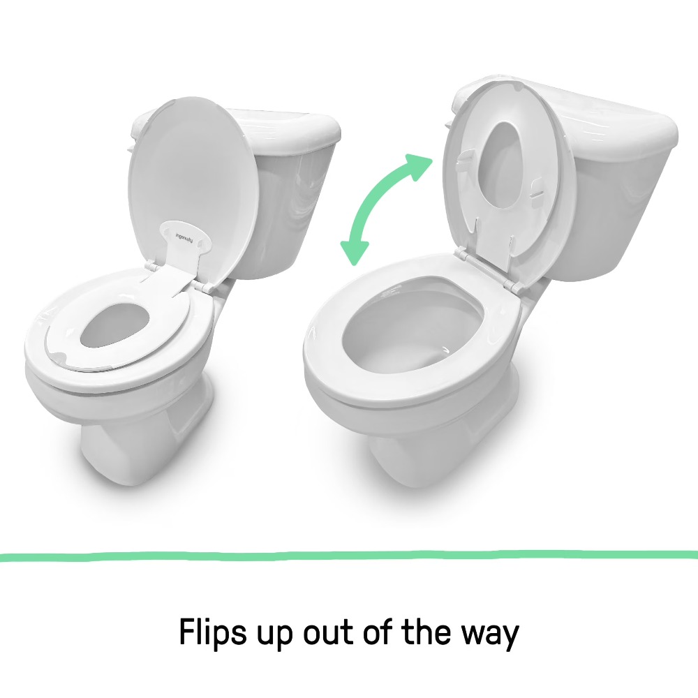 Flip and Sit Potty Training Se - Toddler Potty Training Seat review and price