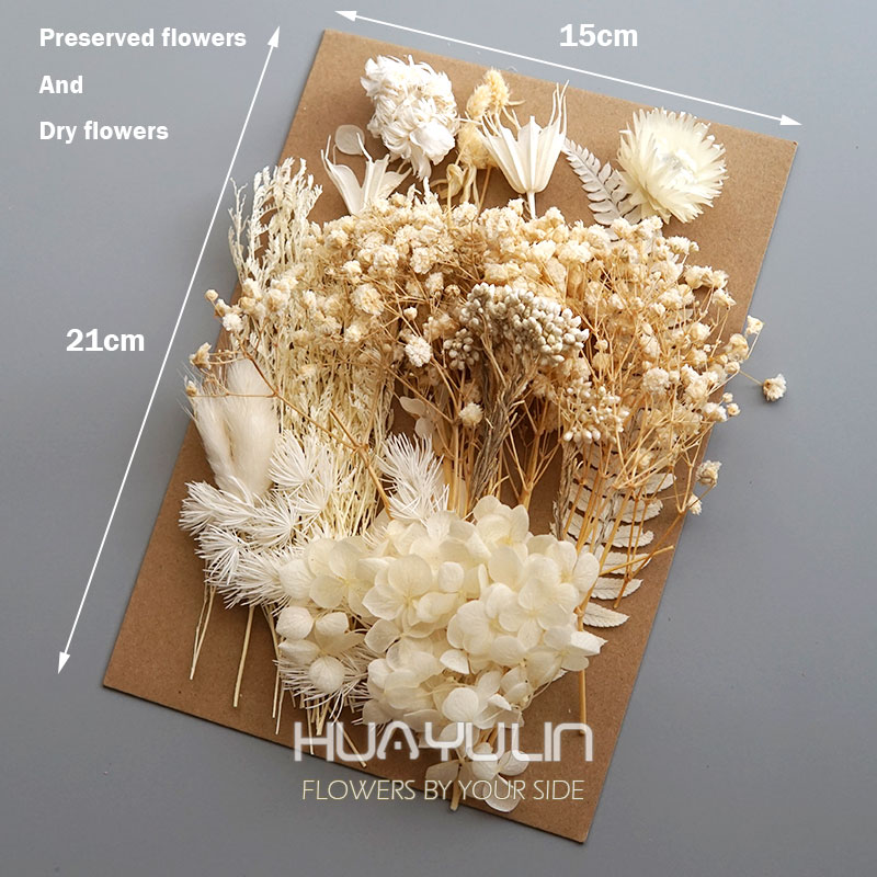 1 Pack Artificial Plants Dried - Baby Products Set review and price